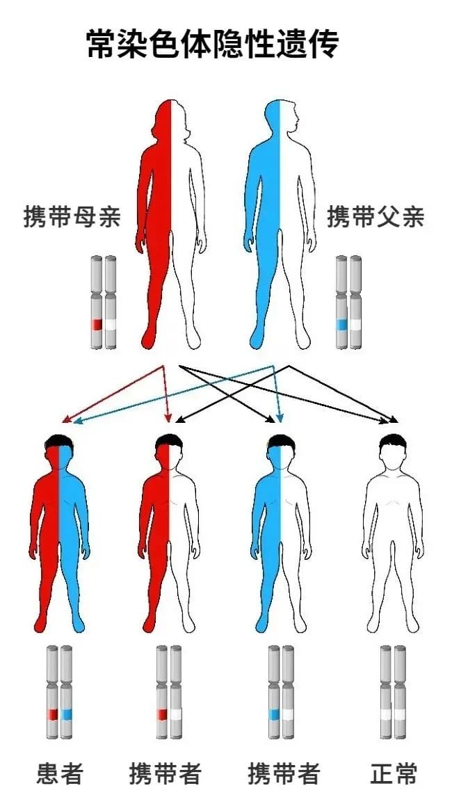 ​父母都健康，为什么孩子会患“无中生有”的遗传病？