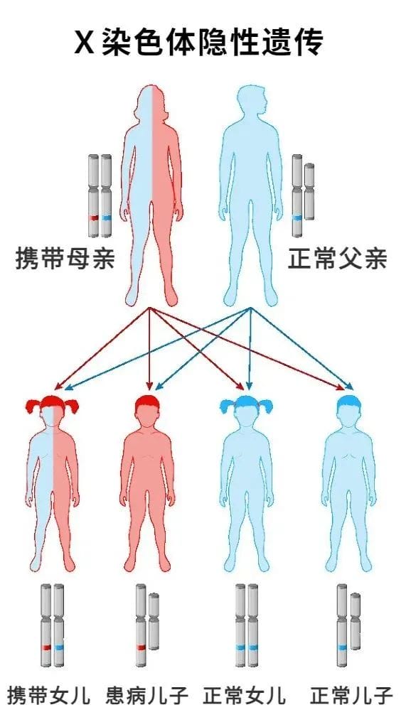 ​父母都健康，为什么孩子会患“无中生有”的遗传病？