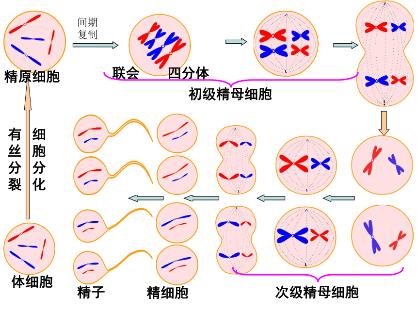 ​父母都健康，为什么孩子会患“无中生有”的遗传病？