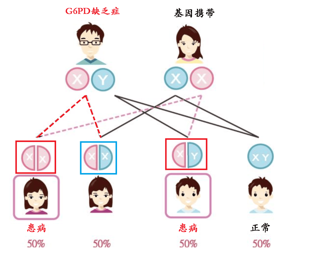 试管婴儿是否可以避免蚕豆病？