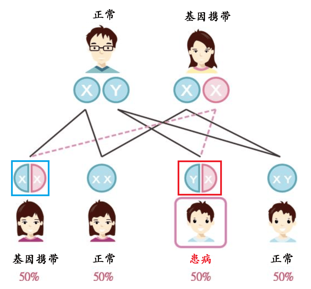 试管婴儿是否可以避免蚕豆病？