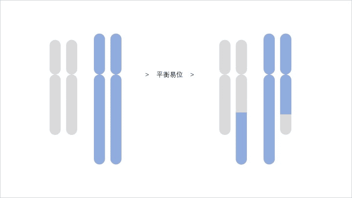 脱“染”宝宝大作战——染色体平衡易位如何健康生育?