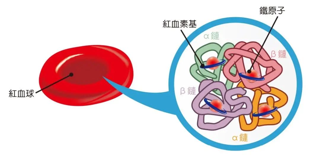 夫妻双方皆携带地贫基因，三代试管助孕生健康男宝！