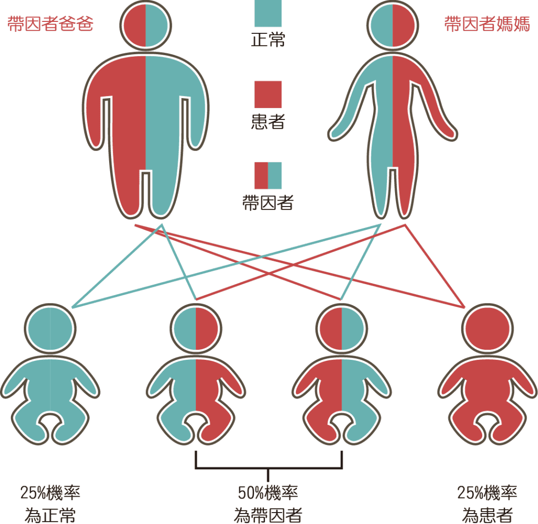 夫妻双方皆携带地贫基因，三代试管助孕生健康男宝！