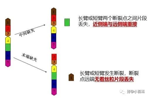 高龄备孕，该如何避免染色体问题导致的胎停流产？