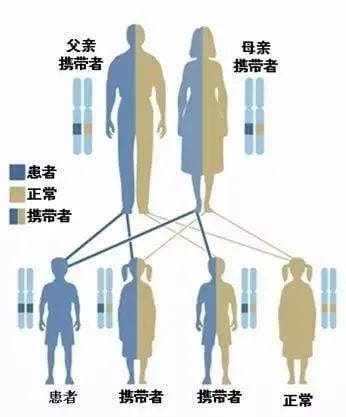 避免流产预防宝宝缺陷 让你成功做母亲