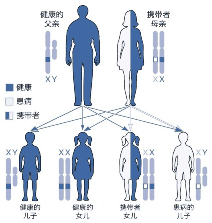 传男不传女的不是只有武功秘籍！还有这个……