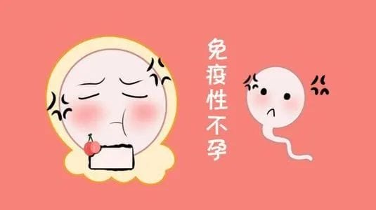 做试管前是否有必要检查「自身免疫抗体」?