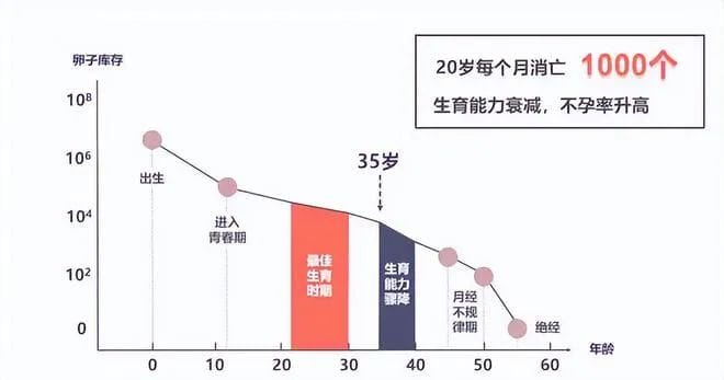 影响卵巢衰老的因素，女性都应该了解！