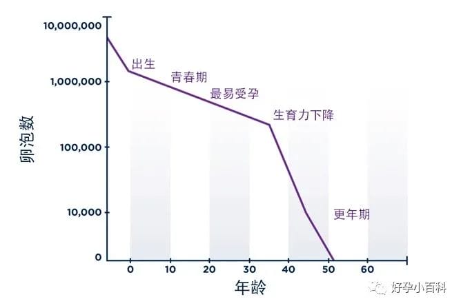 「卵巢早衰」年轻化的真相，损害卵巢的4大行为！