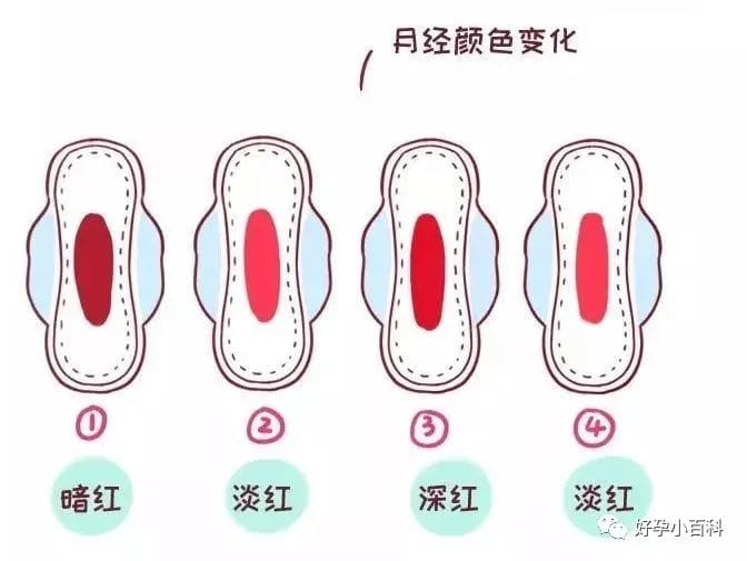 月经不调，量少发黑怎么办？是卵巢早衰了？