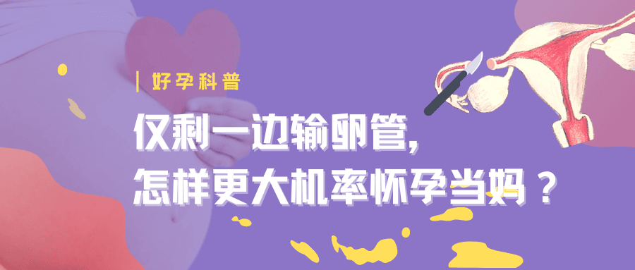 揭秘 |  高FSH都是卵巢早衰，试管婴儿如何备孕？