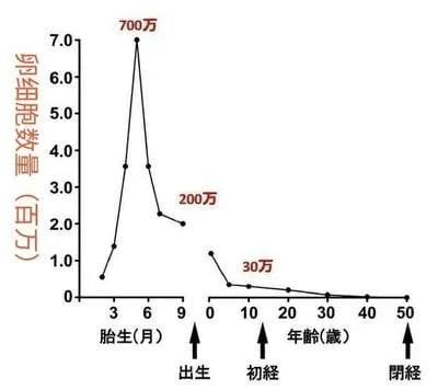 试管知识 | 悄悄吞噬你生育力的"怪物"！