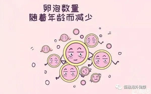 试管知识 | 晚婚还晚育？先“问问”卵巢同不同意！