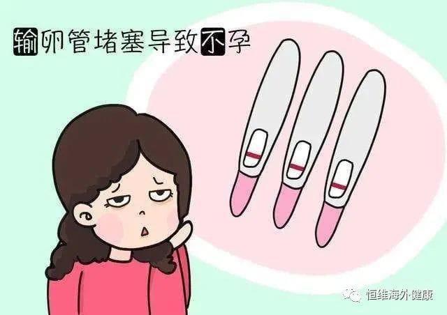 被堵的备孕"后勤部长"输卵管,还能接好孕嘛？