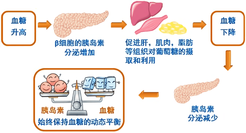 卵子质量“杀手”竟然和这个也有关系！