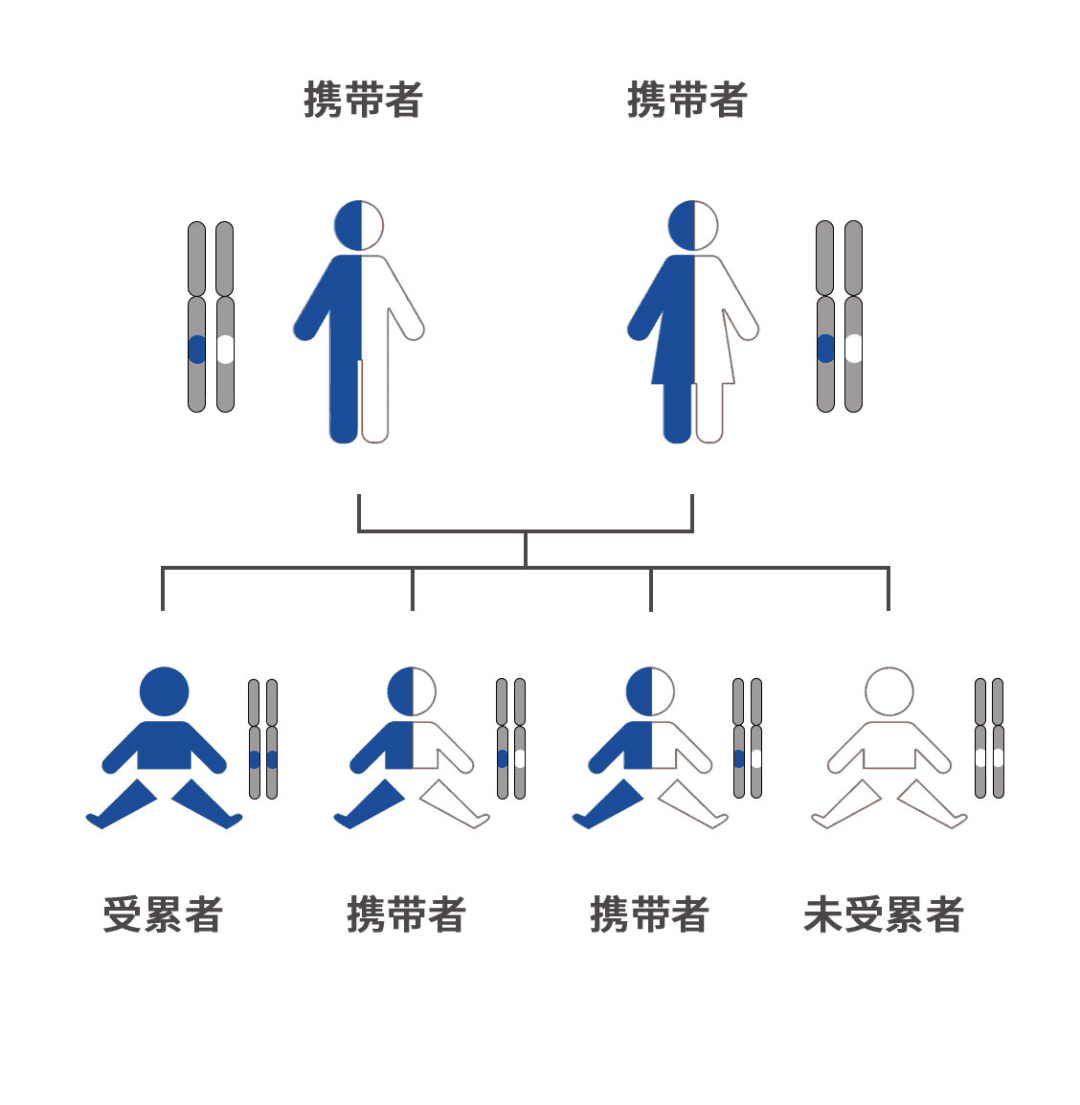 单基因遗传病可预防？这事儿是真的！