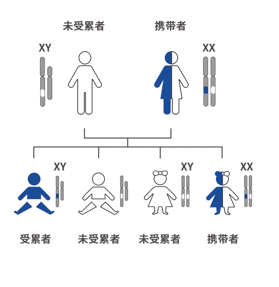 单基因遗传病可预防？这事儿是真的！