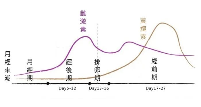 试管必读 | 一分钟教你如何看懂「激素六项」报告