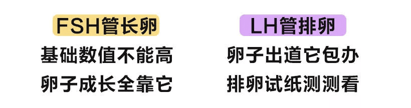 一张图告诉你 性激素六项检查的都是什么？