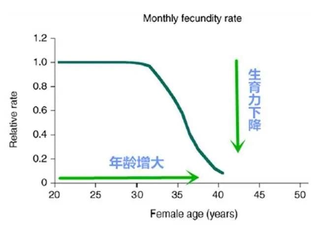 大项目检测卵巢储备功能，哪个更准确？"