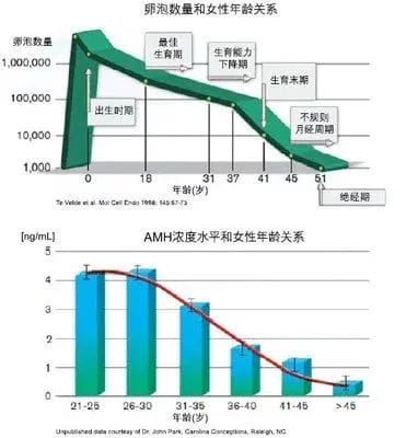 叫你查AMH又不肯，但却想晚婚晚育?