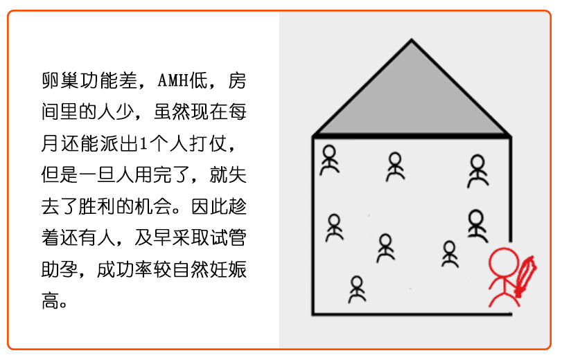 叫你查AMH又不肯，但却想晚婚晚育?