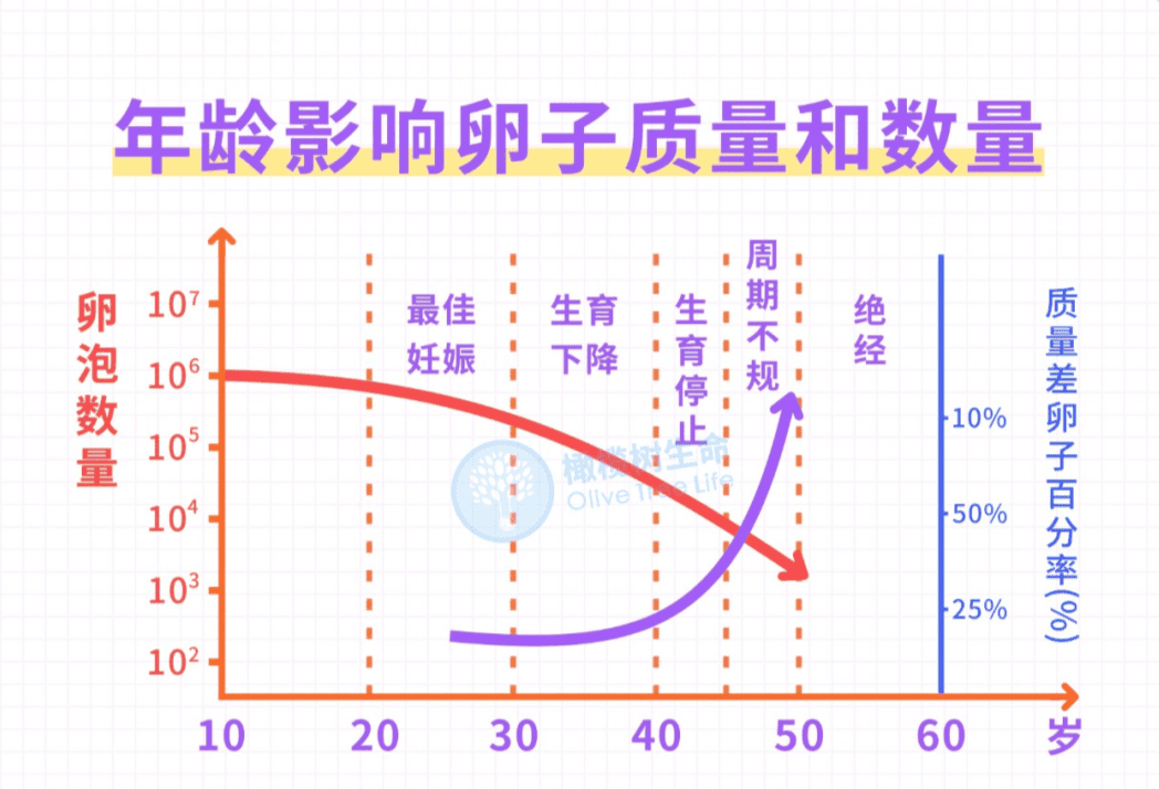 【试管冷知识】如何评估卵巢储备功能？这7个改善方法不容错过！