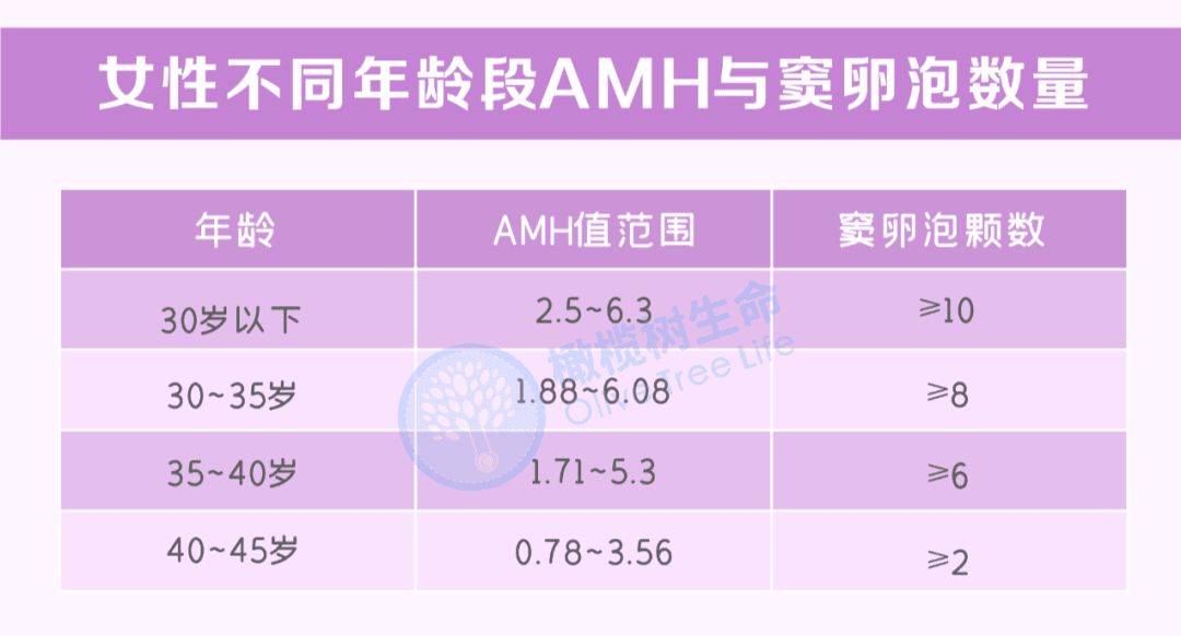 【试管冷知识】如何评估卵巢储备功能？这7个改善方法不容错过！