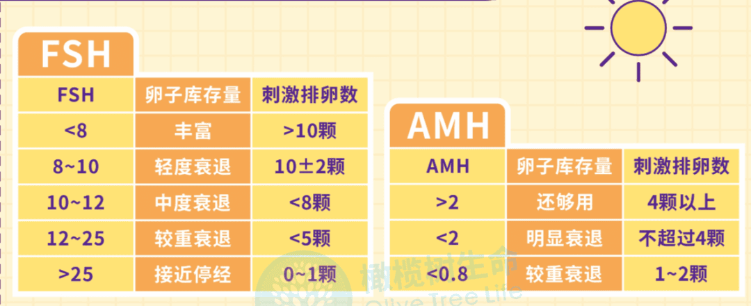 【试管冷知识】如何评估卵巢储备功能？这7个改善方法不容错过！