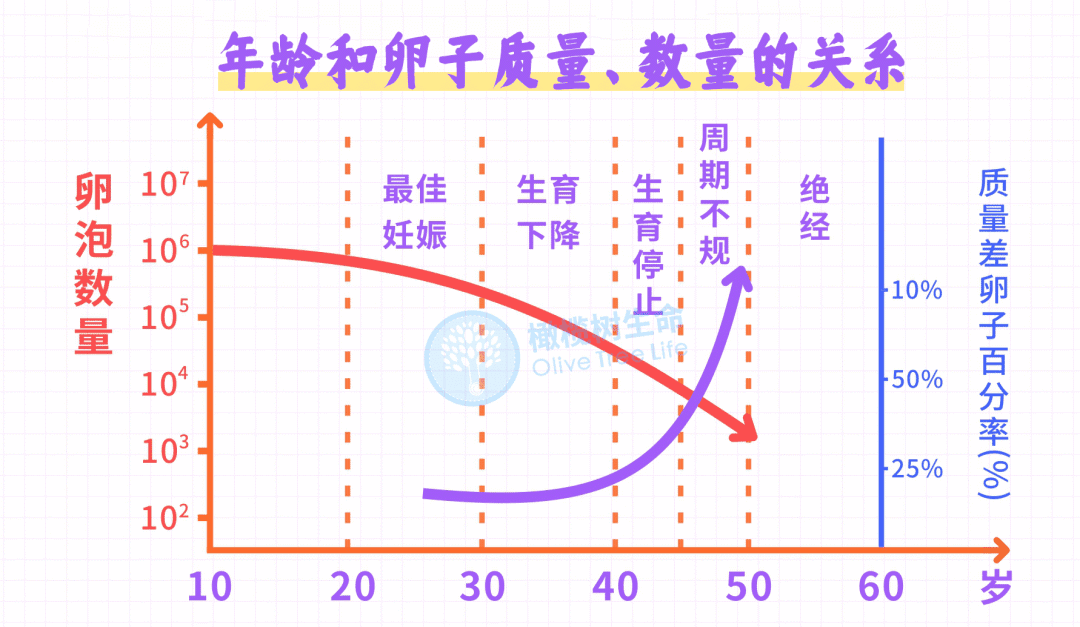 0岁，你的生育“余额”还剩多少？卵巢里还有多少“粮”?"