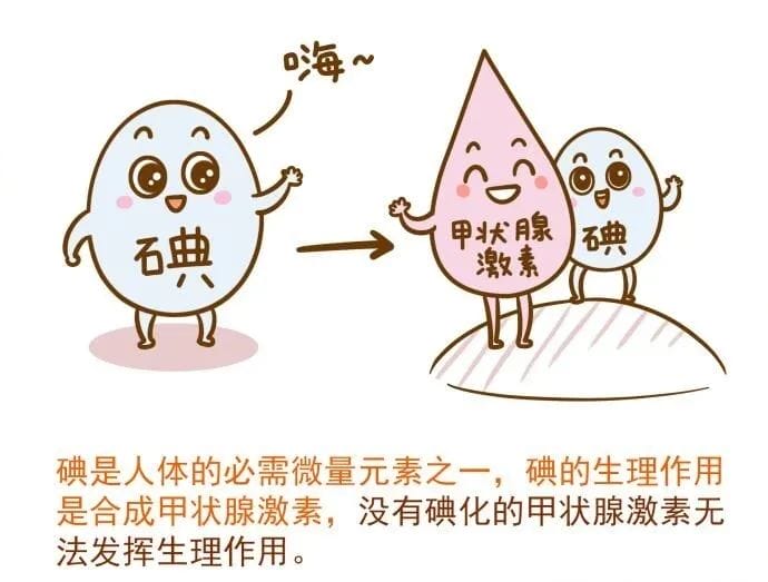 甲状腺功能异常对怀孕有什么影响?碘的摄入该如何调整?