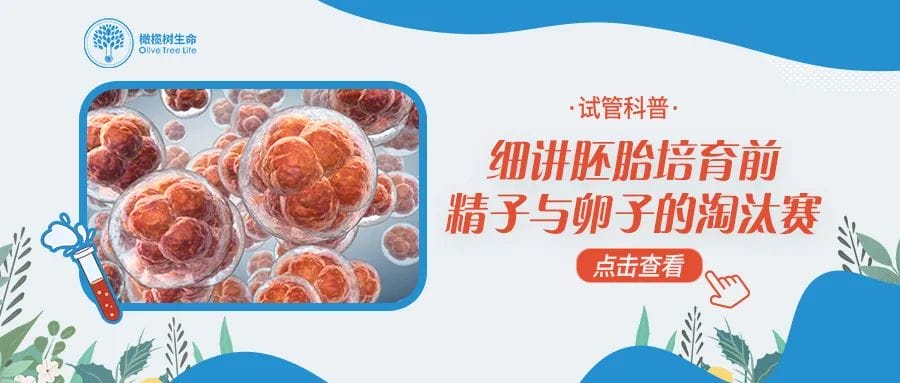 怀孕或做试管之前，为什么建议你要看看甲状腺？