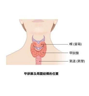 科学备孕，促甲状腺激素不达标......