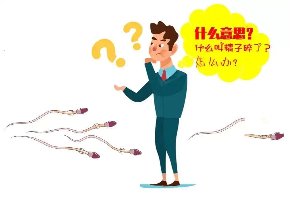 干货  |  精子"碎"了，该如何成就"爸"业！