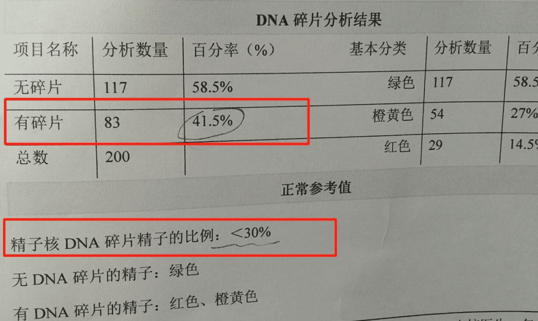 精子碎了，孩子没了！揭秘精子DNA碎片率高的秘密！