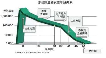 AMH检测 ：给我一滴血，看看你的虎年好孕几率有多少？！