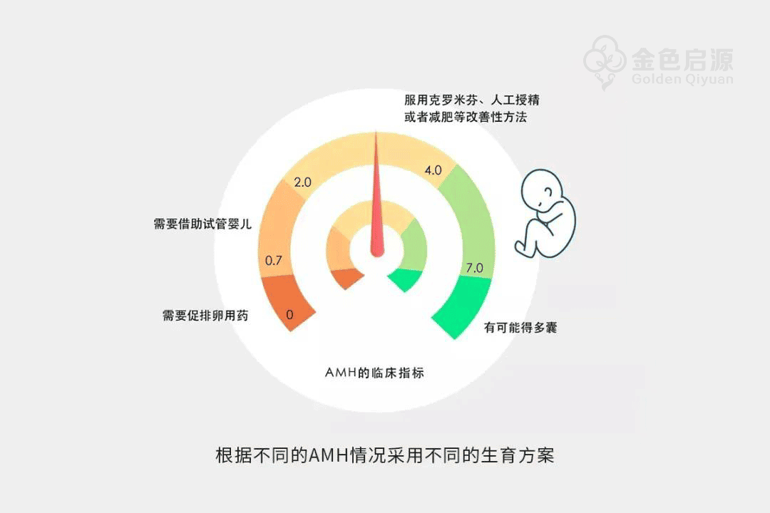 AMH检测 ：给我一滴血，看看你的虎年好孕几率有多少？！