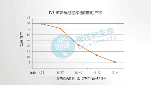 女星赵小侨1次人授，2次试管均失败，试管的成功率到底有多少？