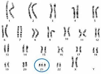 试管成功率这事，到底谁说了算？