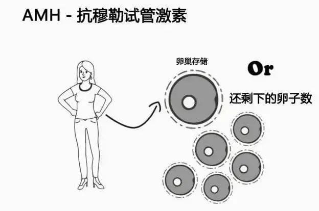 试管成功率这事，到底谁说了算？