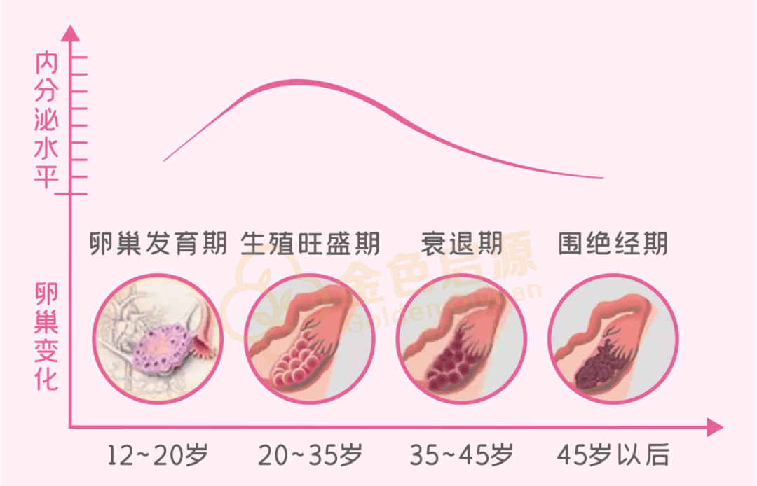 实现试管好“孕”的几个小妙招，你造吗?