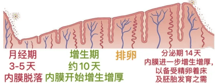 实现试管好“孕”的几个小妙招，你造吗?