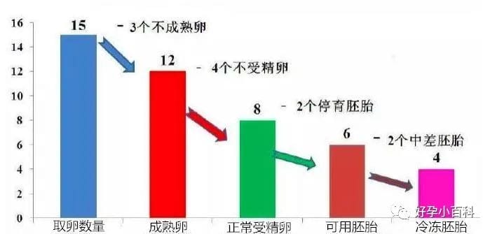 促排会造成卵巢早衰？关于试管促排的几个真相！