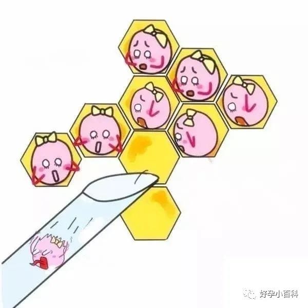 高龄备孕  试管促排对卵巢功能有影响嘛？