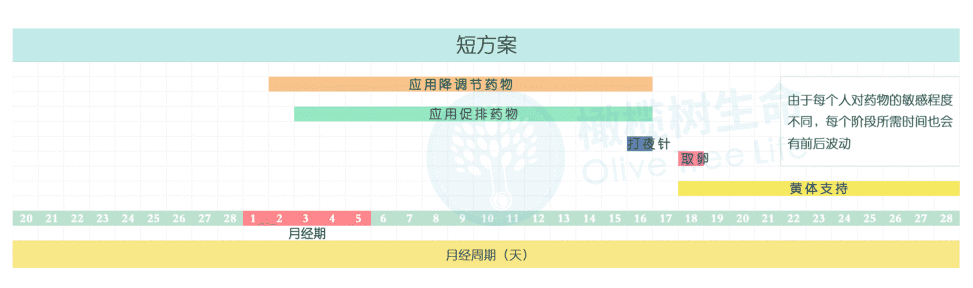 做试管婴儿，阿精与阿卵的「促排方案」你知道怎么选吗？