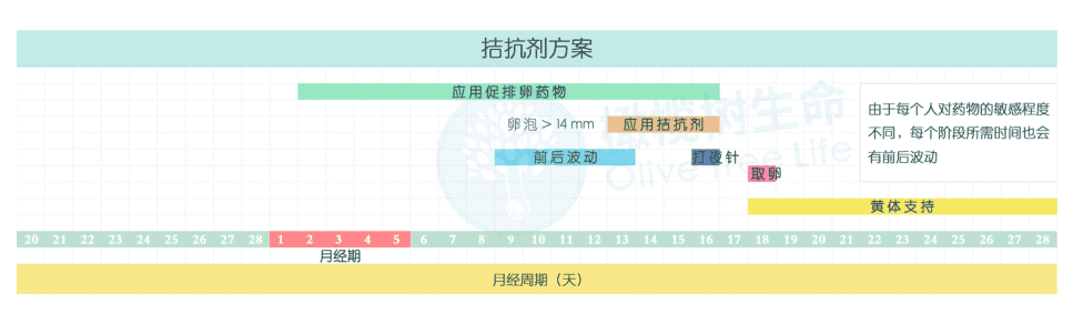 做试管婴儿，阿精与阿卵的「促排方案」你知道怎么选吗？