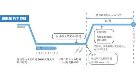 取卵太少怀孕无望?非也，这样做也能逆风翻盘！