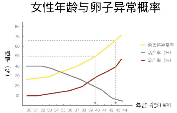 高龄生育超能力之“卵”实力！