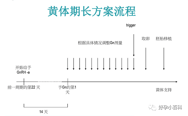 高龄生育超能力之“卵”实力！